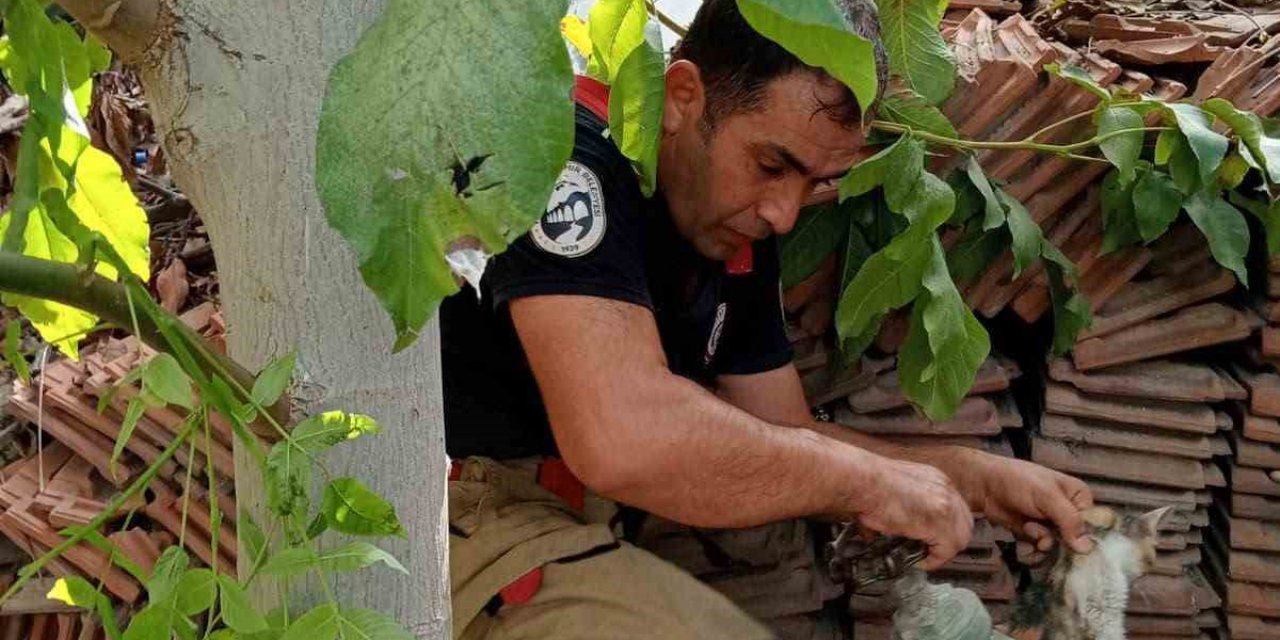 Hatay İskenderun'da Vanada Mahsur Kalan Yavru Kedi Sanayideki Müdahaleyle Kurtarıldı