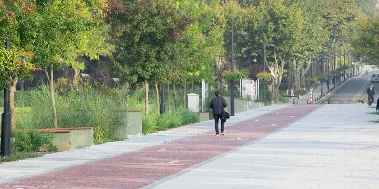 Türkiye "Yeşil Kampüslerde" Avrupa'nın Zirvesinde Yer Aldı