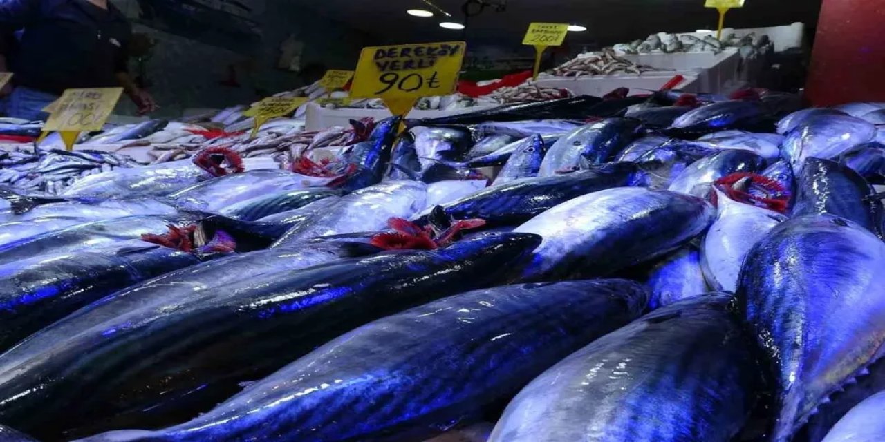 Karadeniz'deki Bolluk Tezgaha Yansıdı: Samsun'da Palamutun Fiyatı 90 Tl'ye Geriledi