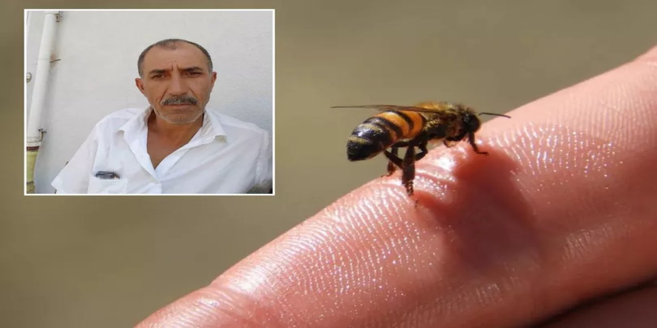 Çorum’da Arı Sokması Can Aldı! Doktorların Müdahalesi Yetmedi