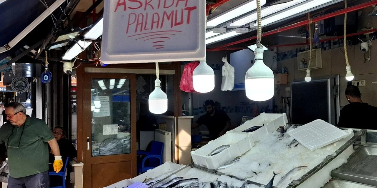 Sinop'ta "Askıda Palamut" Uygulaması Başlatıldı