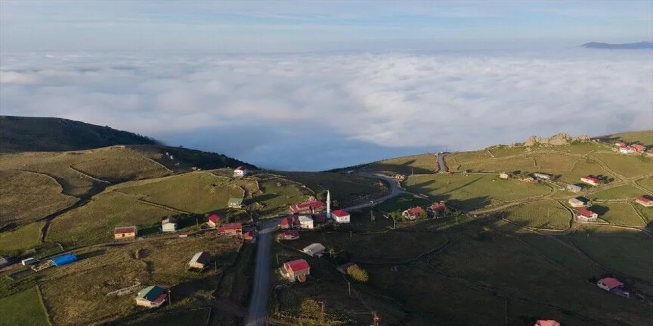 Trabzon'un "Bulutlara Komşu" Yaylaları Sonbahar Renklerine Bürünüyor
