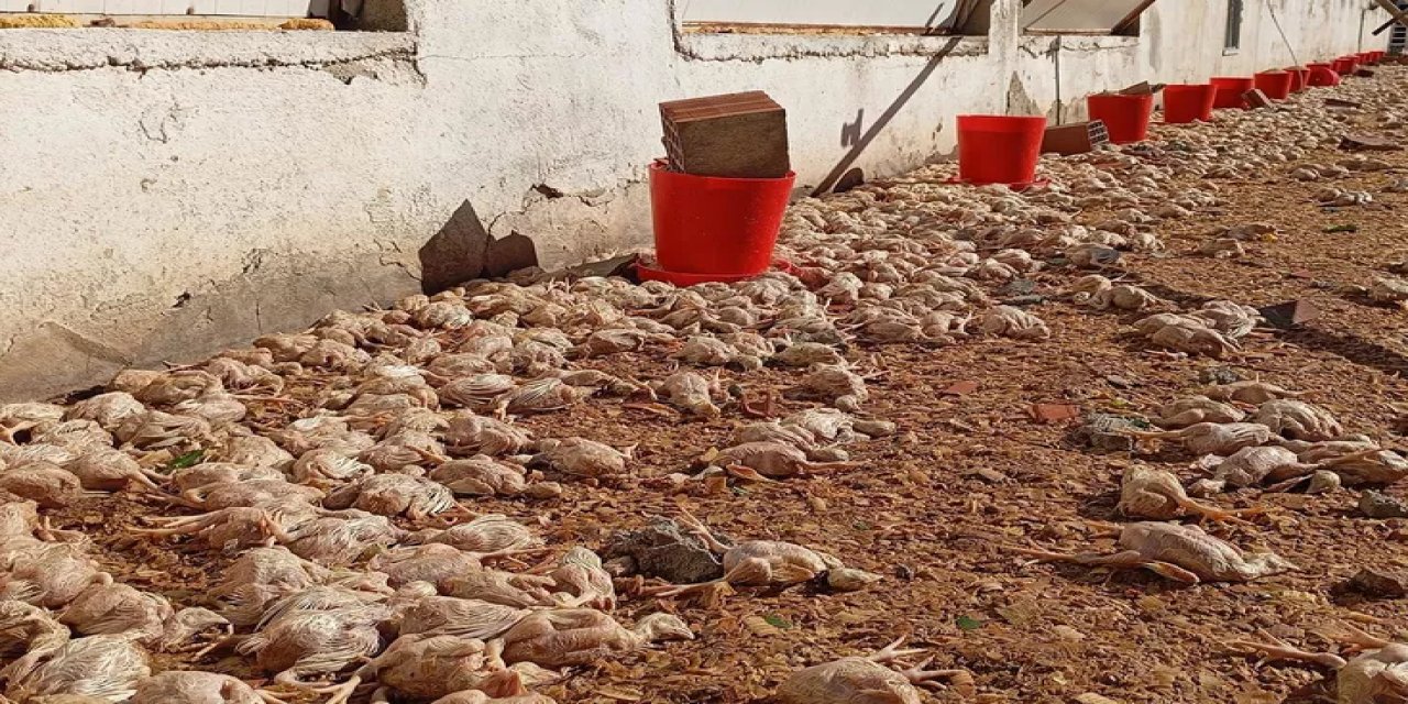 Dakikalar İçinde Büyük Yıkım! Gördükleri Manzara Kahretti