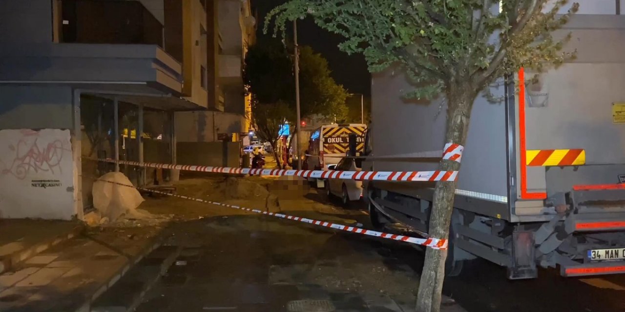 Küçükçekmece'de Köpeği İçin Akıma Kapılan Sahibi Yaralandı, Köpeği Öldü