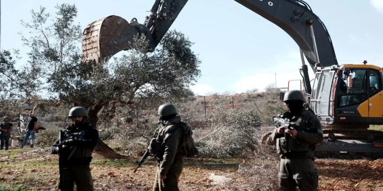 Filistinli Yetkiliye Göre, İsrail Zeytin Hasatı Sezonundaki Saldırılarıyla Daha Fazla Toprak Gasbını Hedefliyor