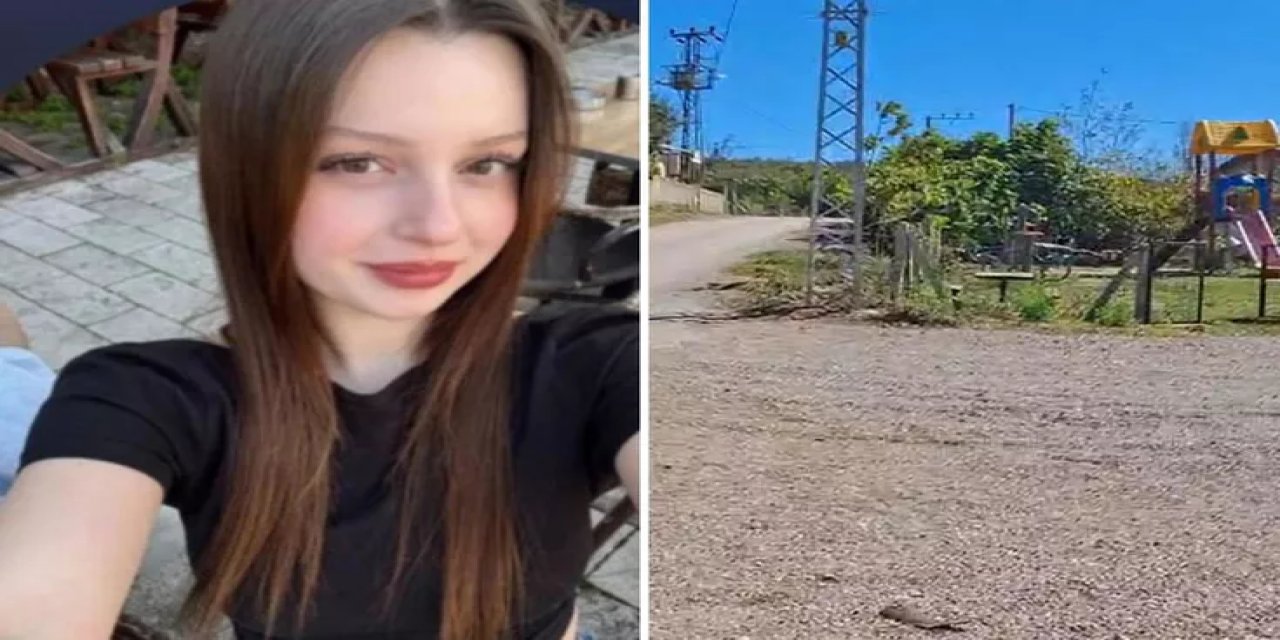 Bursa'da Kan Donduran Cinayet! Sevgilisiyle Ormana Gitti, Tek Başına Döndü