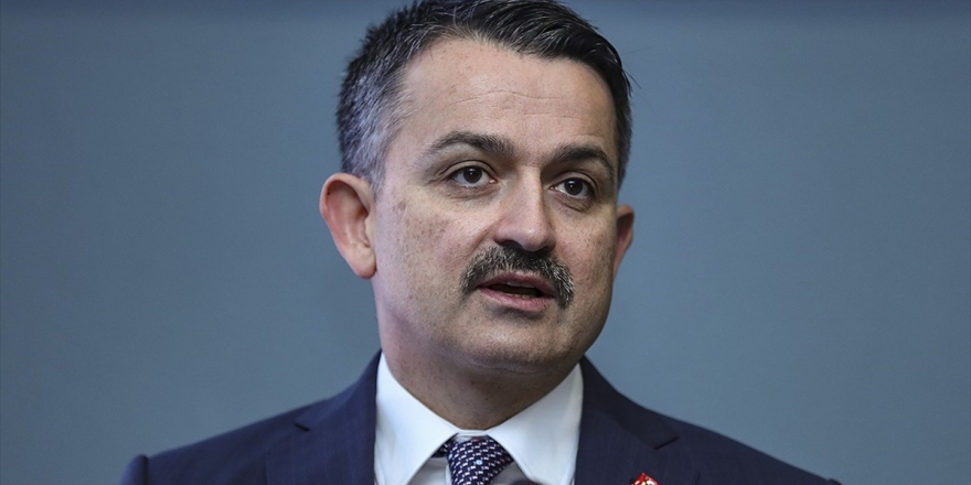 Tarım Ve Orman Bakanı Pakdemirli: Hayvan İthalatının Sonlandırılması Konusunda Kararlıyız