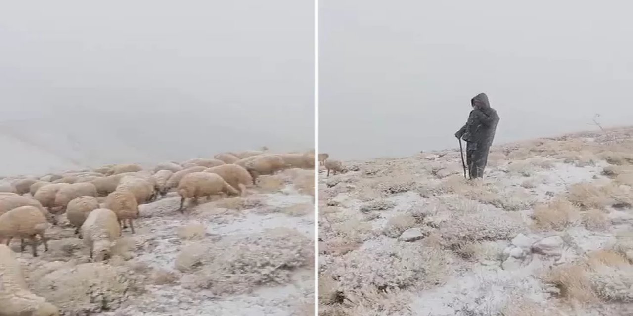 Mevsimler De Şaşırdı: Tunceli'de Yaylaya Mevsimin İlk Karı Düştü