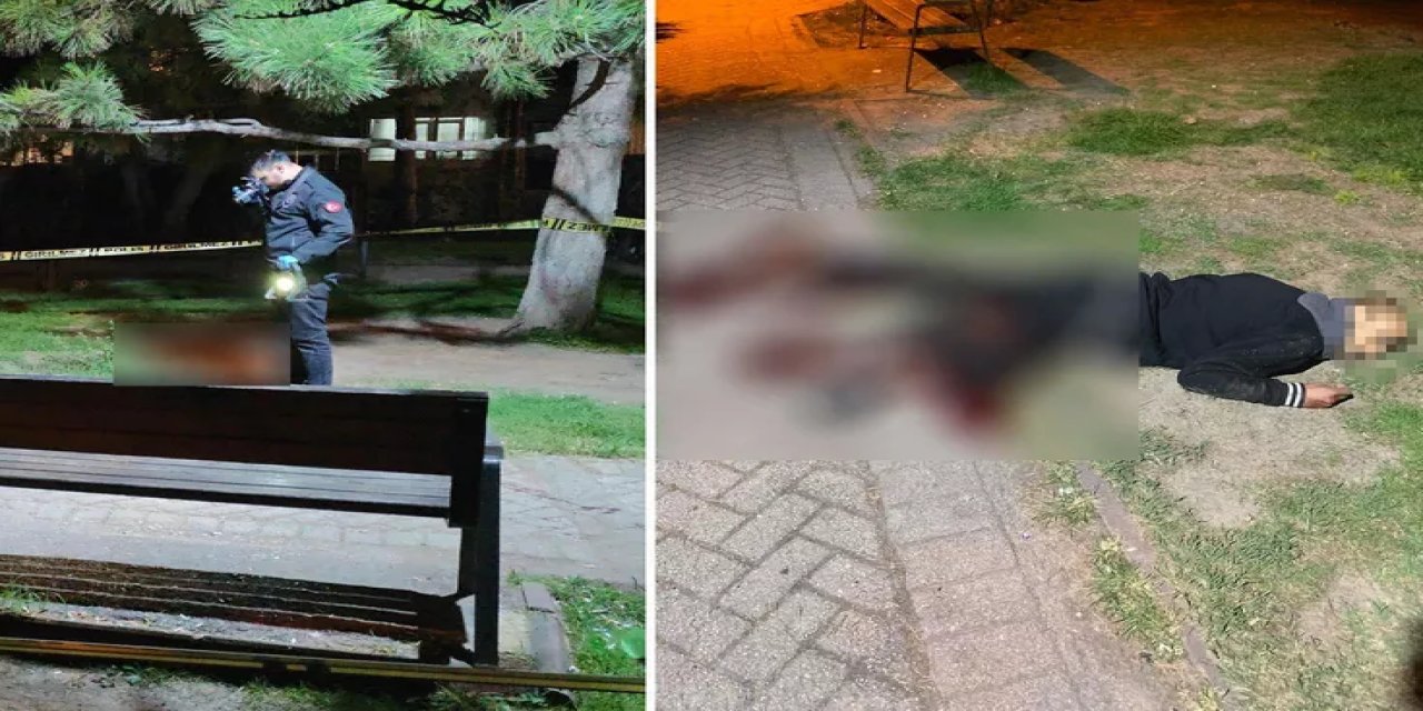 Birlikte Alkol Aldığı Arkadaşını Bıçakladı