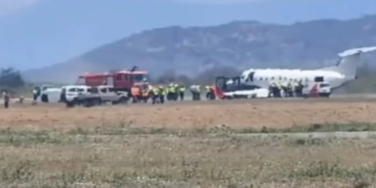 Tanzanya'da Uçak Kalkışta Zebraya Çarptı: Acil İniş Yaptı