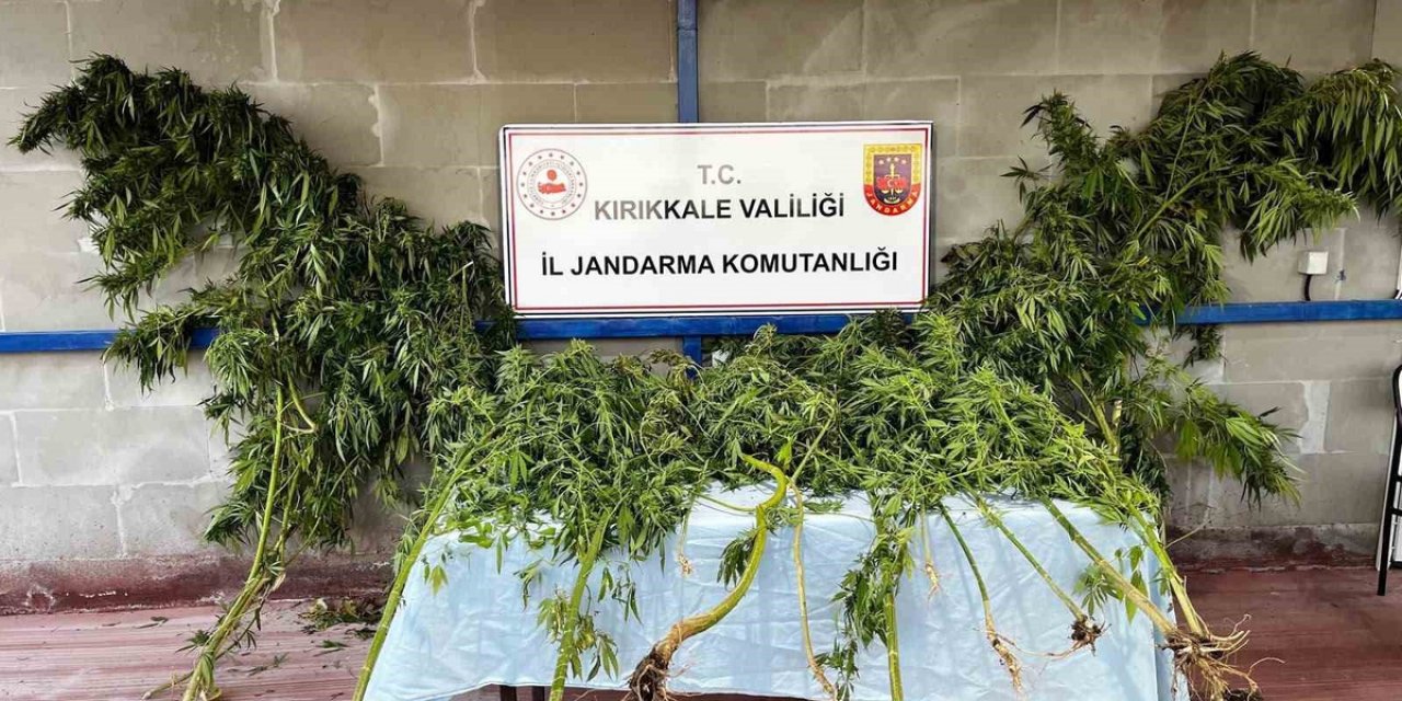 Kırıkkale Hacılar'da Köpeğin Tepki Verdiği Bahçede 1 Kilo 240 Gram Esrar Ele Geçirildi
