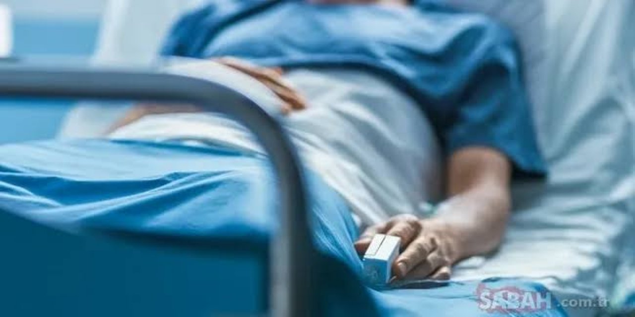 Palyatif Bakımın Temel Amacı Hastanın Yaşam Kalitesini Ve Onurunu Korumak