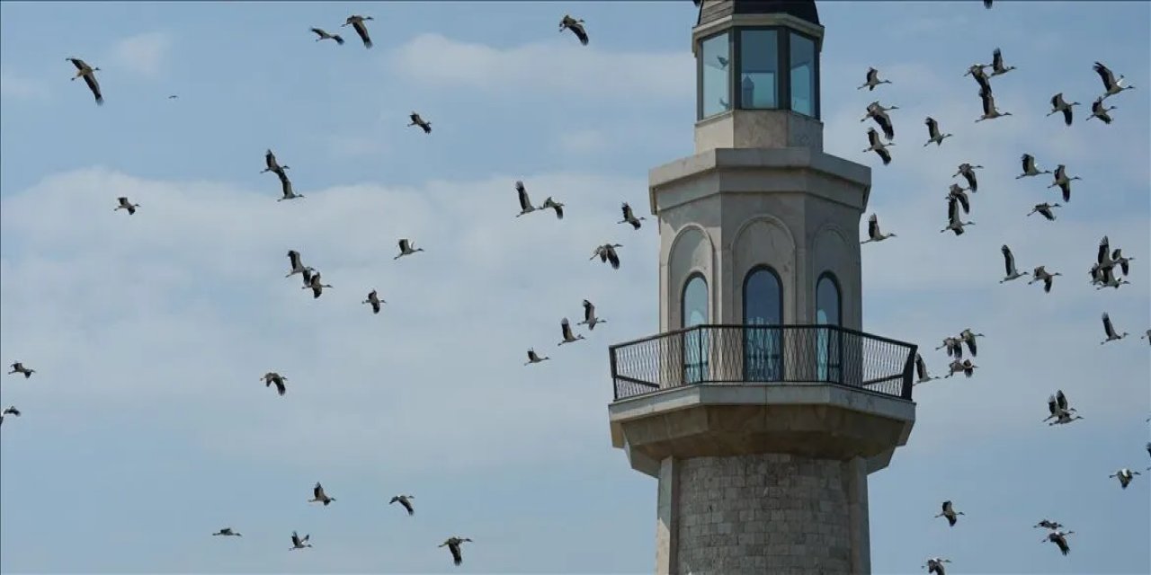 Göçmen Kuşların Korunmasında Vatandaş Gözlemleri Önem Taşıyor