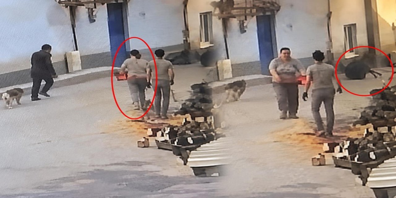 Motorlu Testereyle Üzerine Koştu, 76 Yaşındaki Adam Kabusu Yaşadı