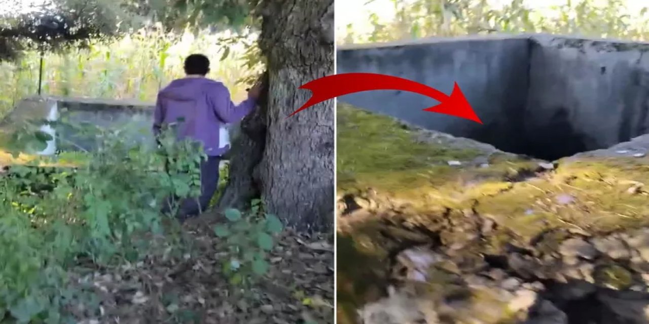 Ormanda Çığlık Sesi Duydular! Çukura Bakınca Dehşete Düştüler