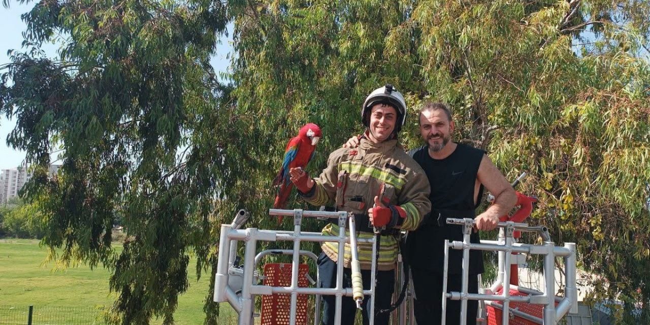 İskenderun'da Ağaçta Mahsur Kalan Papağan İtfaiye Ekiplerince Sahibine Teslim Edildi