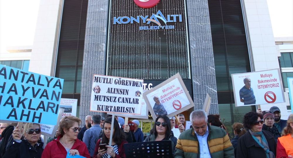 Antalya’daki köpek ölümleriyle ilgili belediyeden açıklama: Sabotaj şüphesi üzerinde duruluyor