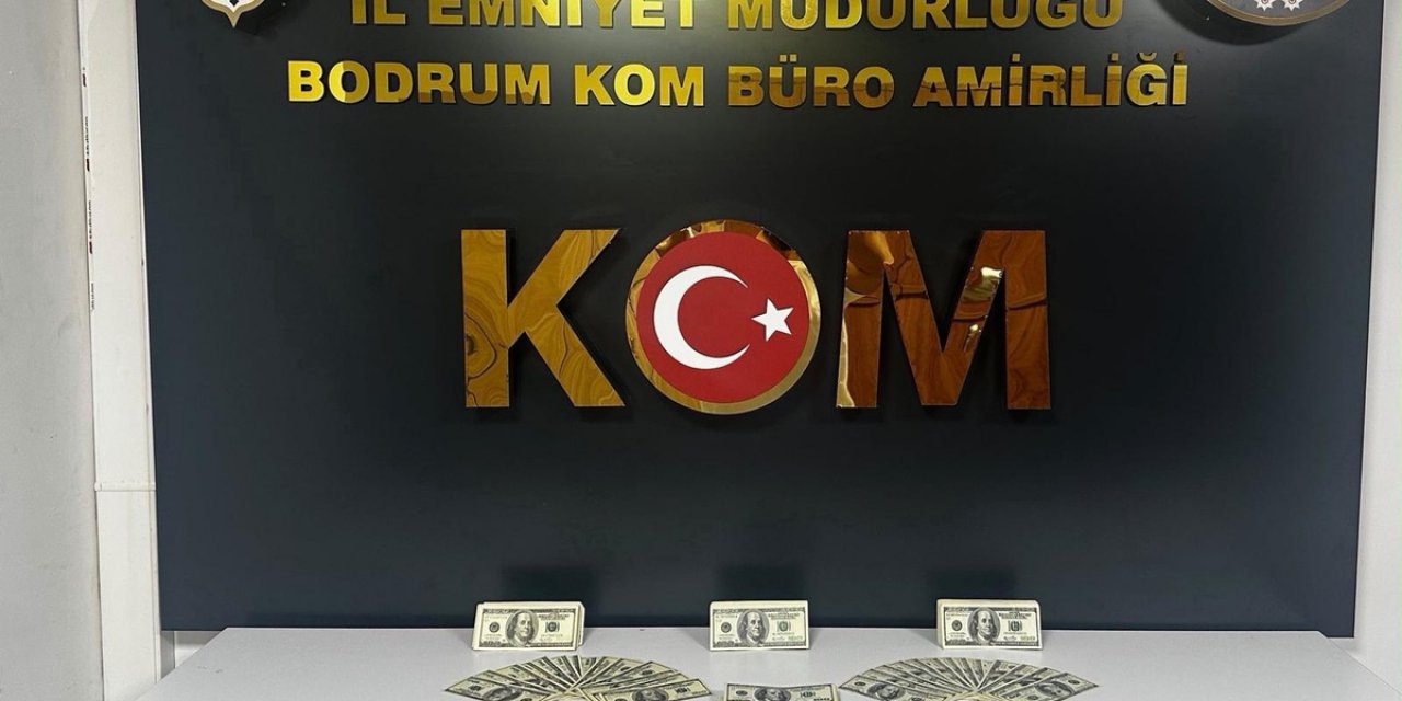 Bodrum'da Sahte Dolar Operasyonunda M.Y. Tutuklandı, 46 Bin 200 Dolar Ele Geçirildi