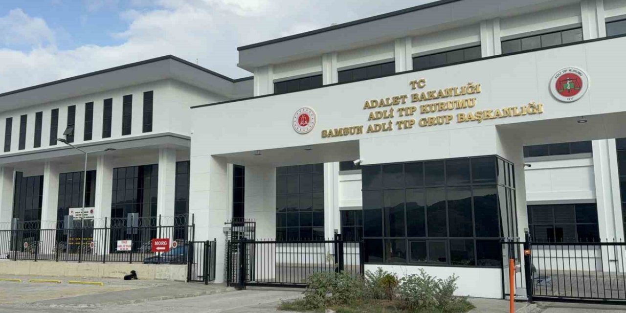 Terme'de Dede Aracını Hareket Ettirdi, 2,5 Yaşındaki Torunu Yağız Alp Hayatını Kaybetti
