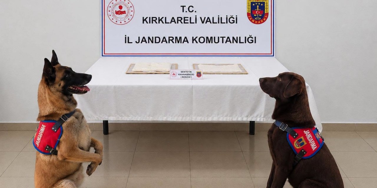 Kırklareli'de Hükümlü, Tuvalete Uyuşturucu Emdirilmiş 7 Peçete Sakladı, Tutuklandı