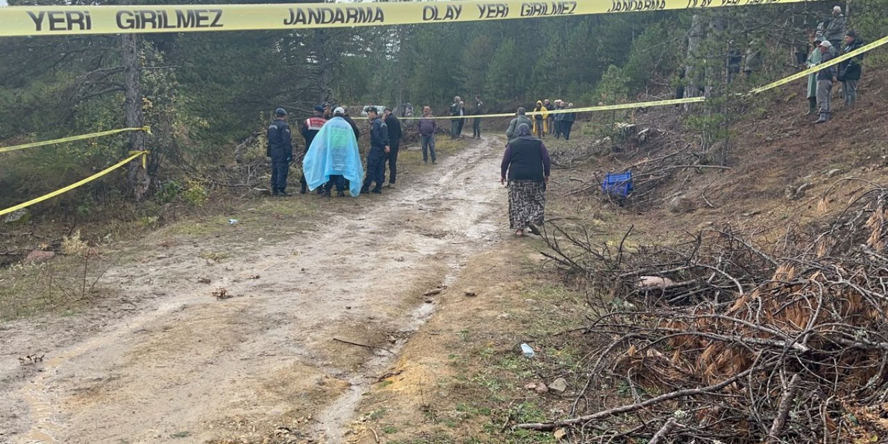 Tosya'da Ormanda Cinayet: Yağcılar Köyünün İmamı Odunla Vurularak Hayatını Kaybetti