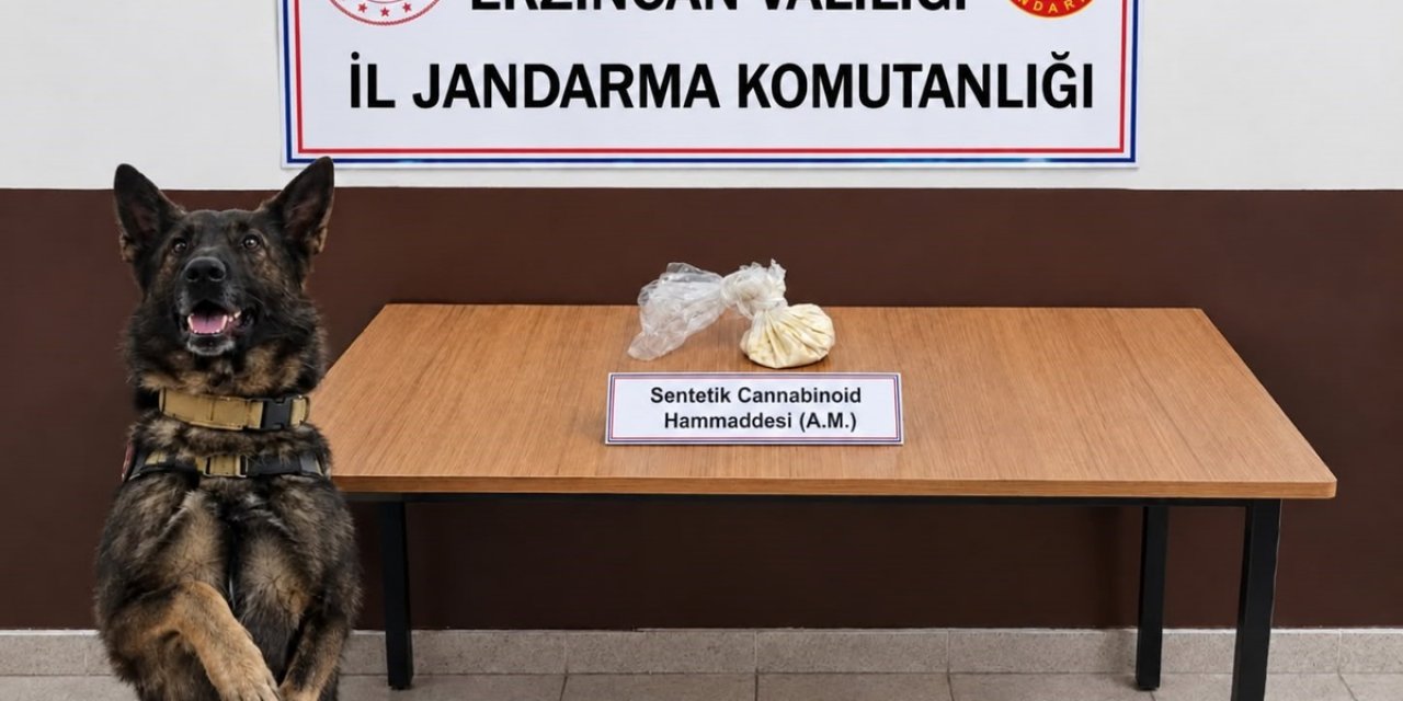 Erzincan'da Jandarma 2 Operasyonda 13 Gram Skunk İle 35 Gram Hammadde Ele Geçirdi