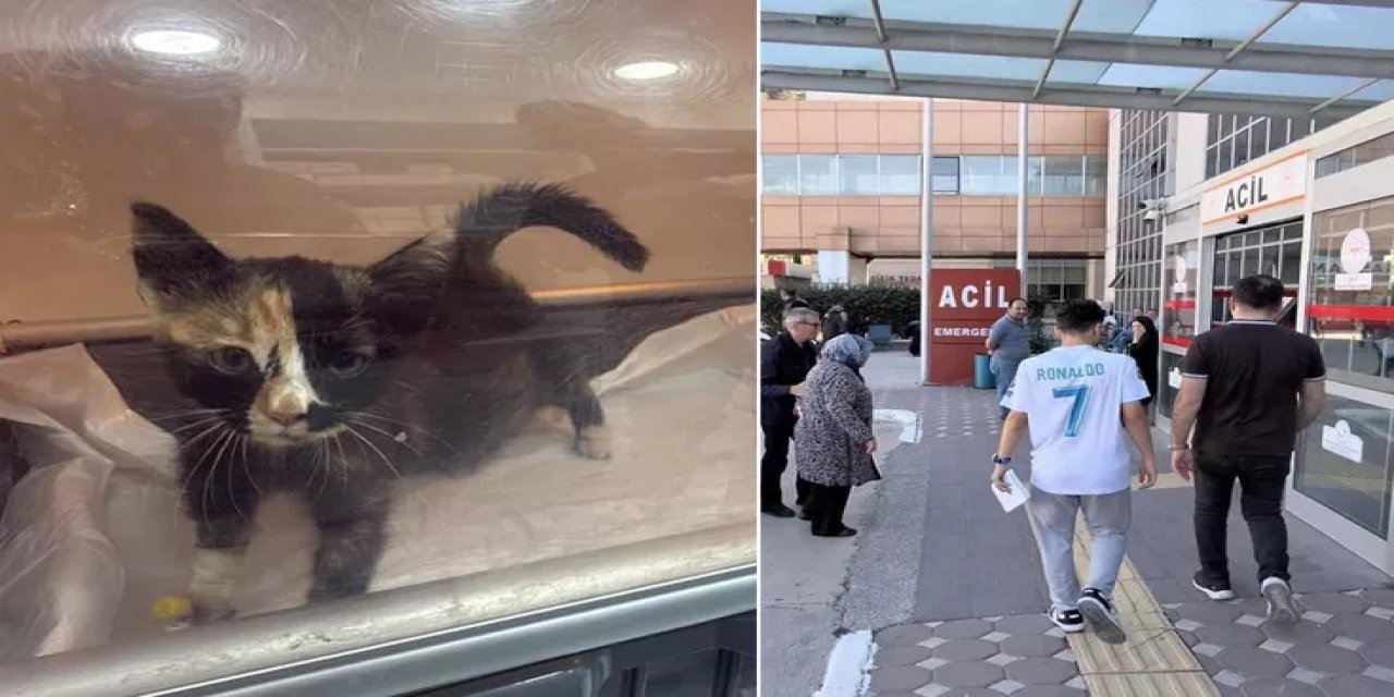 5 Bin Kişi Hastanelik Eden Tokat'taki Salgın Büyüyor! Korkutan Kedi-Köpek Detayı