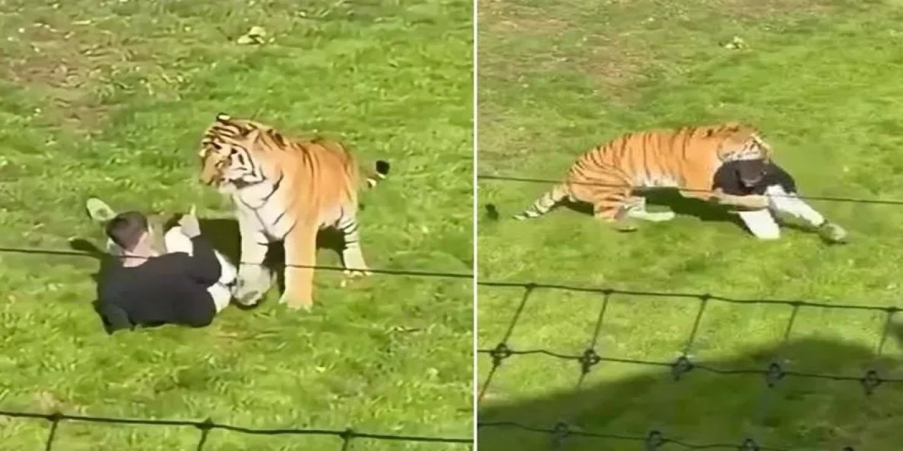 23 Yaşındaki Genci Parçalamıştı! Günler Sonra İlk Kez Görüntülendi