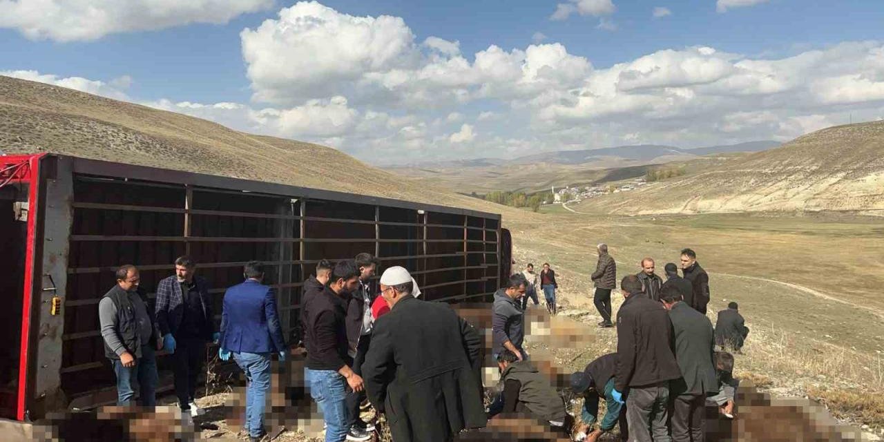 Erzurum'da Hayvan Yüklü Tır Devrildi: 130 Küçükbaş Telef Oldu