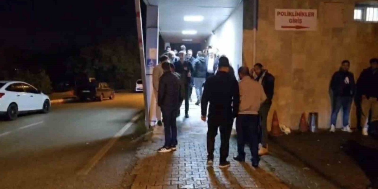 Elazığ Palu'da Amca Ve Yeğenine Otomobil Çarptı, Amca Öldü, Yeğeni Ağır Yaralı