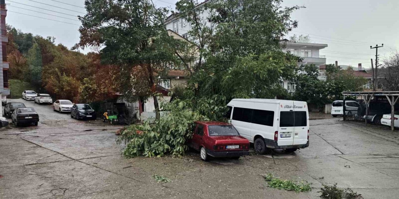 Cide'de Fırtına Evlerin Çatılarını Uçurdu, Devrilen Ağaçlar Araçlara Zarar Verdi