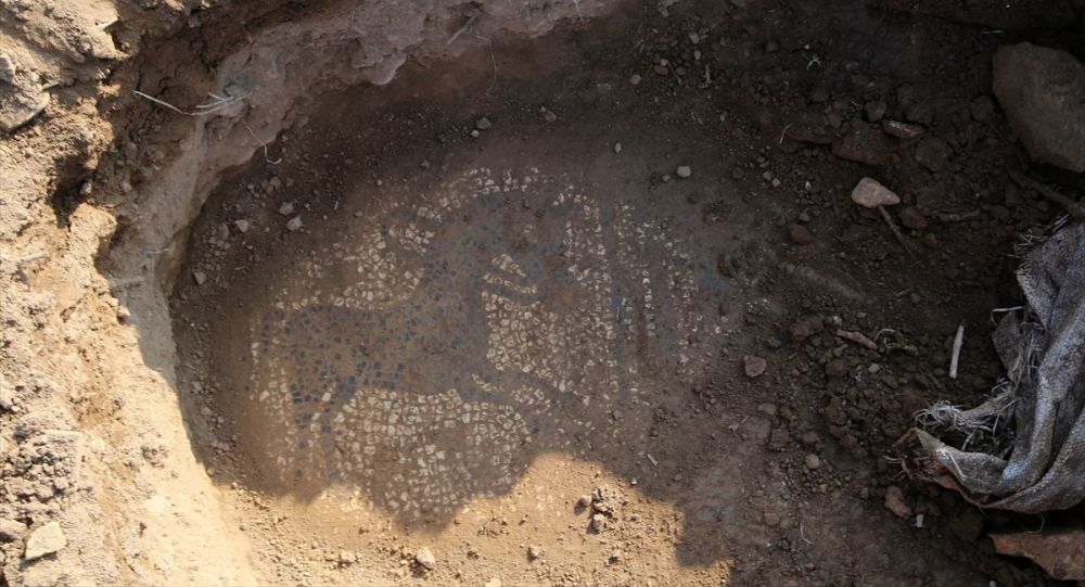 Tarlada buldukları mozaiği 30 milyon dolara satmak isterken yakalandılar