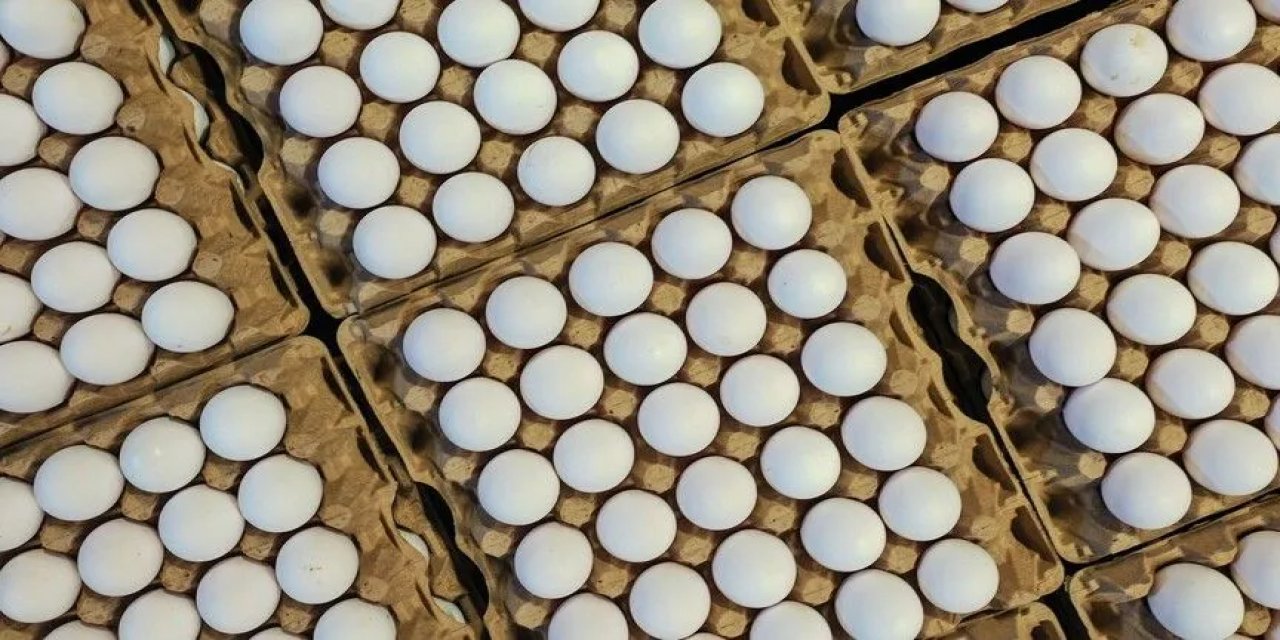 Türkiye'nin Yumurta İhracatı 9 Ayda 418 Milyon Doları Aştı