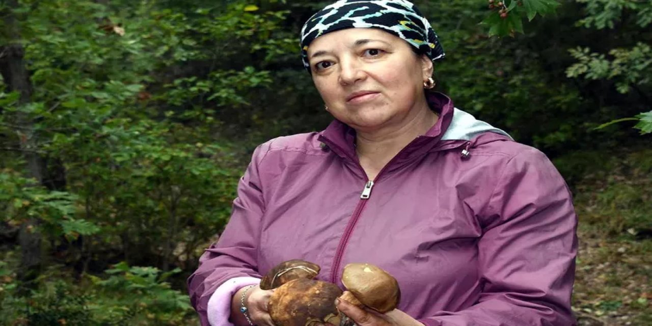 Ormana Giren Ceplerini Dolduruyor! Kilosu 500 TL'den Alıcı Buluyor