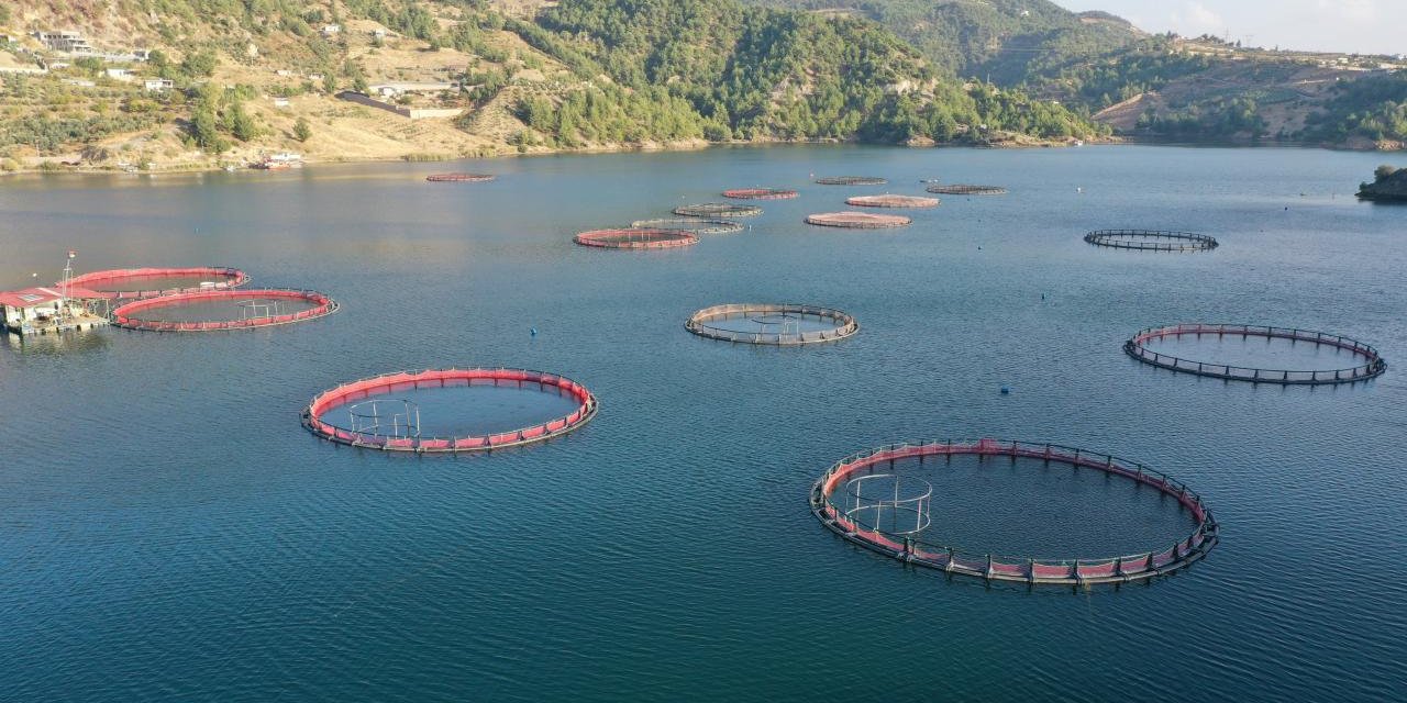 Karadeniz'in Su Ürünleri İhracatı 9 Ayda 322 Milyon Doları Aştı