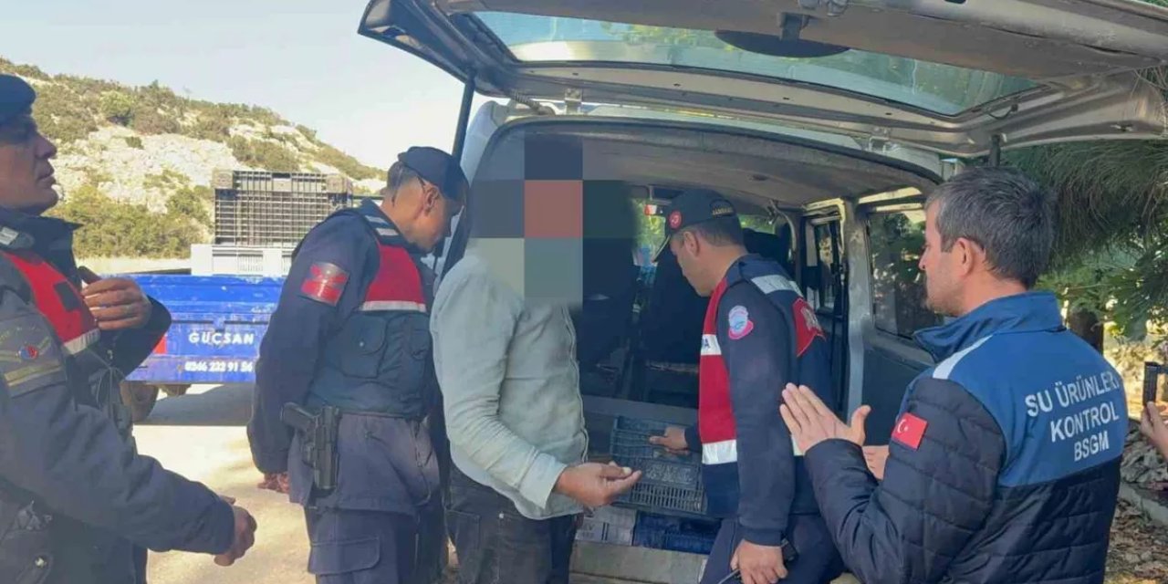 Eğirdir'de 50 Kg Balık Belgesiz Taşınırken Ele Geçirildi, 47 Bin 397 TL Ceza Uygulanacak