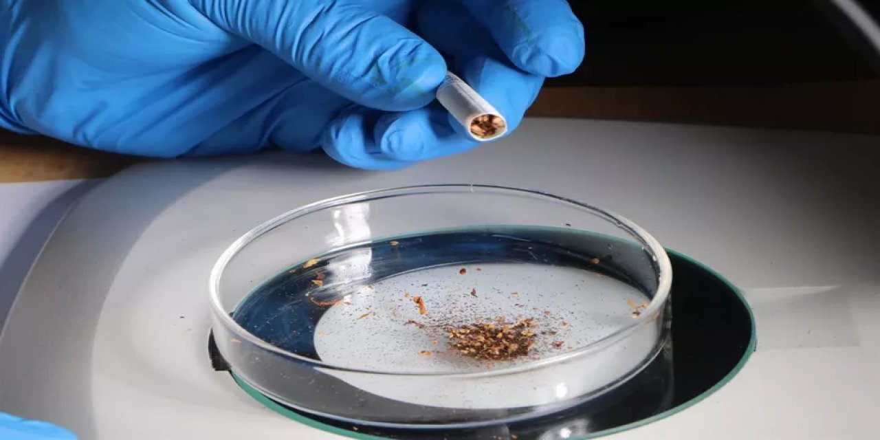 Sigara Tütününde Plastik Alarmı: 88 Çeşidin 83'ünde Mikroplastik Bulundu