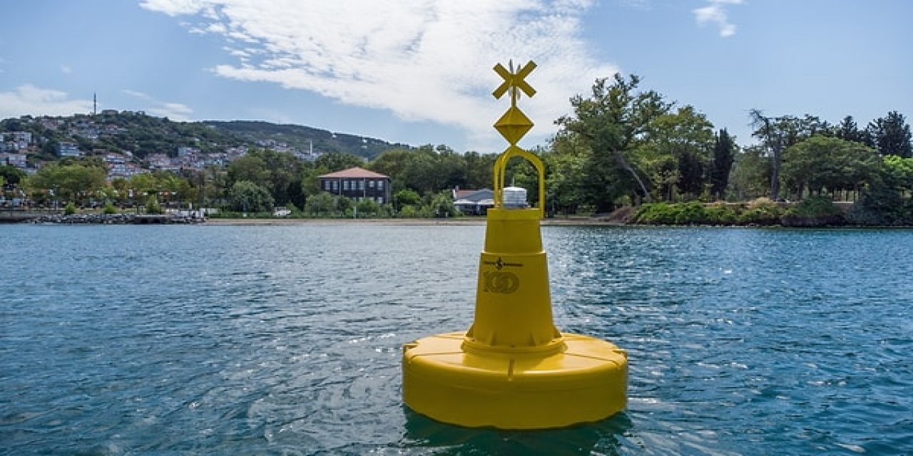 Deniz Çayırlarının Korunmasında Yeni Model