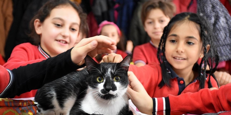 Minik Öğrencilerin Okulu Sahipsiz 'Kartal'a Yuva Oldu
