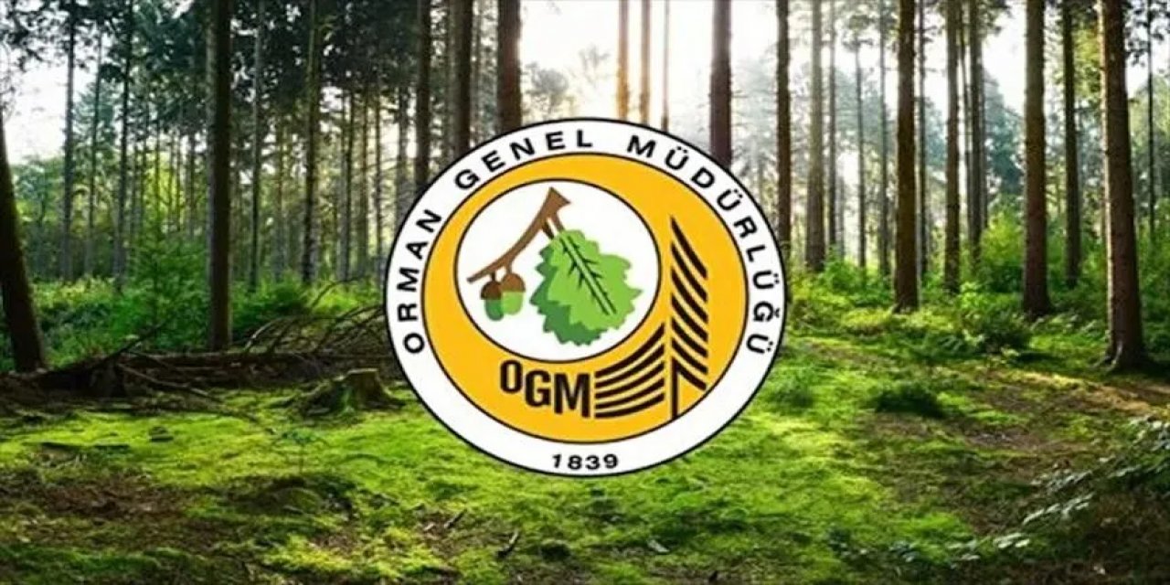 Orman Genel Müdürlüğü 12 Müfettiş Yardımcısı İstihdam Edecek
