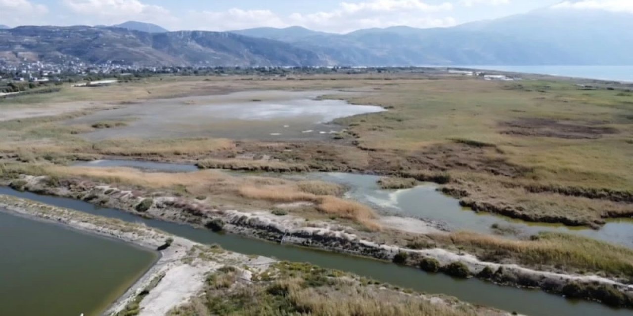 Hatay Milleyha'da Göçmen Kuş Hareketliliği