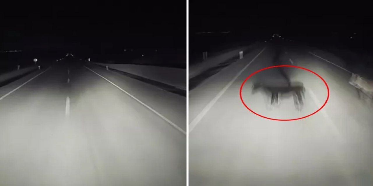 Görüntü Türkiye'den! Gecenin Karanlığında Dehşete Düşüren Olay