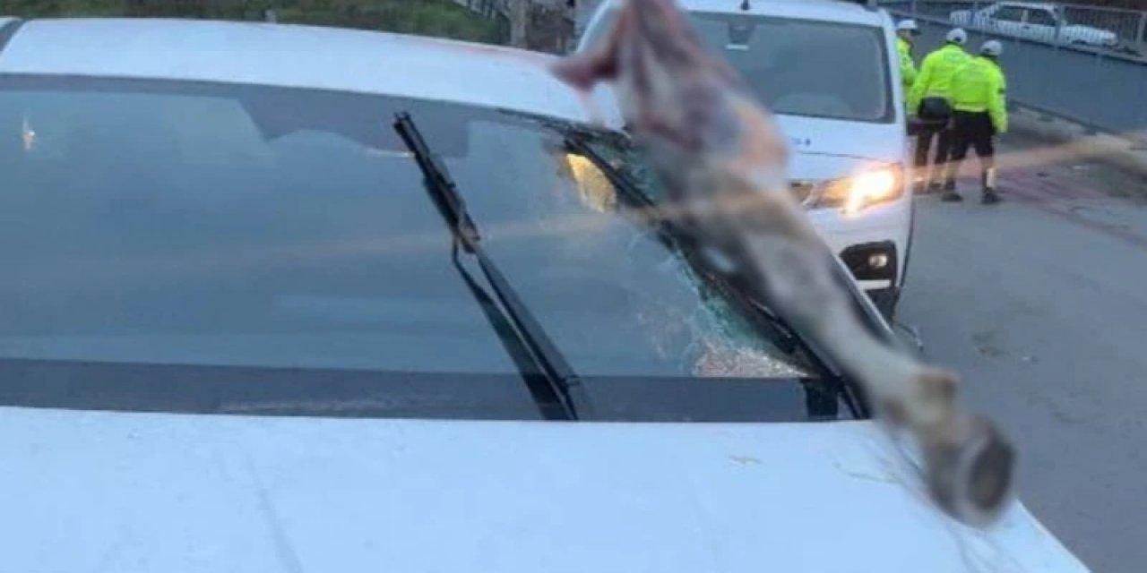 İstanbul'da Atın Kopan Bacağı Otomobile Saplandı