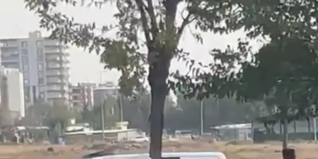 Şanlıurfa Siverek'te Otomobil Ağaca Çarparak İkiye Bölündü, 3 Kişi Yaralandı