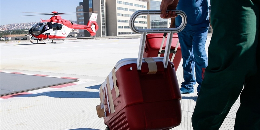 Türkiye Organ Naklinde Dünyada İlk Üçte