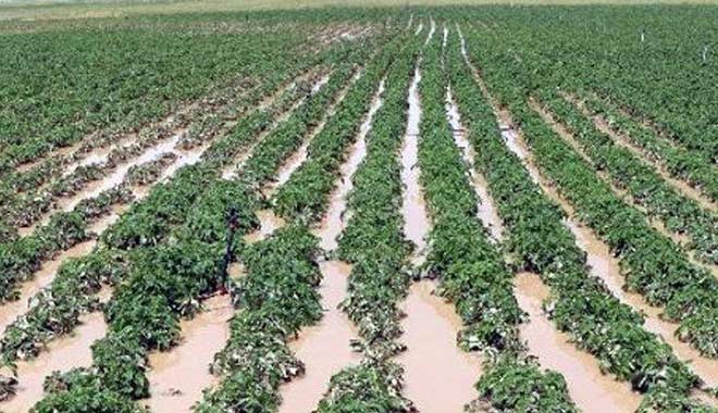 2 bin 179 çiftçinin 53 Milyonluk afet zararı için 440 Bin TL ayrıldı