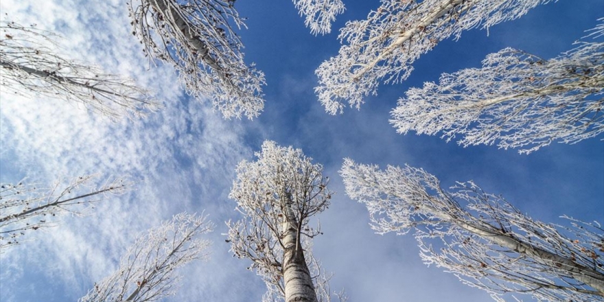 Tunceli'de Kırağı Kartpostallık Görüntüler Oluşturdu