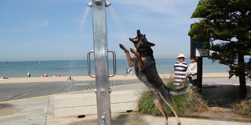 Yaz Mevsimini Yaşayan Avustralya'da Tarihi Sıcaklık