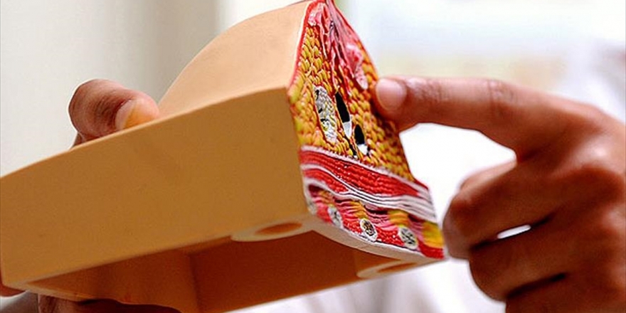 50 Yaş Üstü Kadınlarda Kilo Vermek Meme Kanserine Yakalanma Riskini Azaltabilir