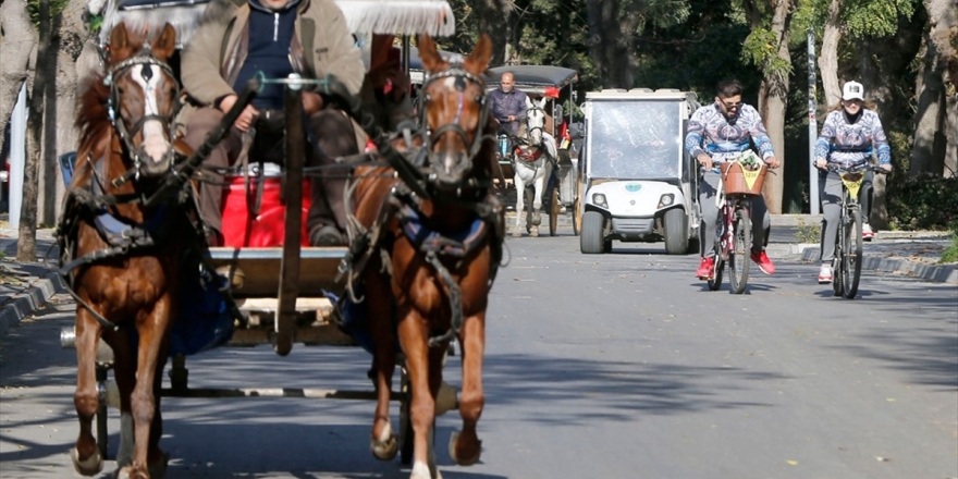 Adalar'da Fayton Turları Durduruldu